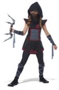 Fearless Ninja Girl
