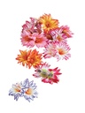 Flower Hair Clip
