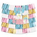 Gender Reveal Deluxe Backdrop Decorating Kit Gender Reveal