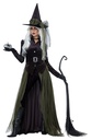 Gothic Witch Women's Costume Scary & Villains