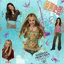 Wrapping Paper Roll-Hanna Montana	