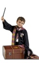 Harry Potter Trunk