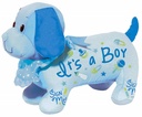 Its A Boy Autograph Hound Autograph Books