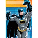 Loot Bags - Batman Containers