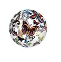 Paper Weight - Butterfly Parade Butterfly