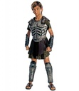 Perseus Clash Of Z Titans - Deluxe Boys Child