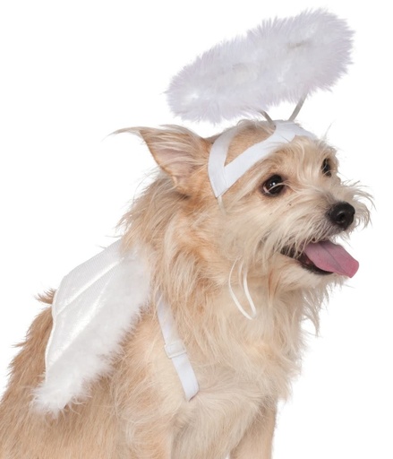 [86332625] Pet Angel Halo/Wings Set