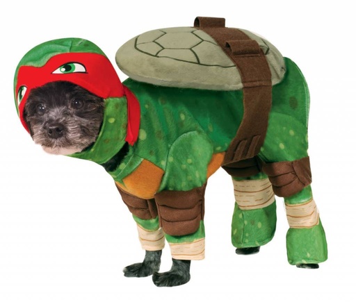 Raphael Pet
