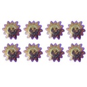Rapunzel Dream-Sequin Rings 6 ct