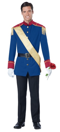 Storybook Prince Men's Costume