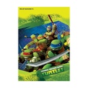 TMNT Ninja Turtles - Loot Bags Containers