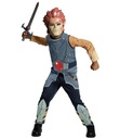 Thundercats-Lion O Boys Child