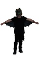 Toothless Glow In The Dark Accessory Set