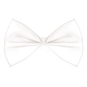 White Bow Tie National Day