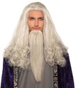 Wig-Wise Wizard W/Beard-Wht