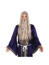 Wizard Wig & Beard Long Grey