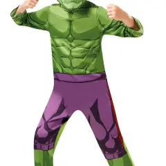 Hulk Boys Costume 