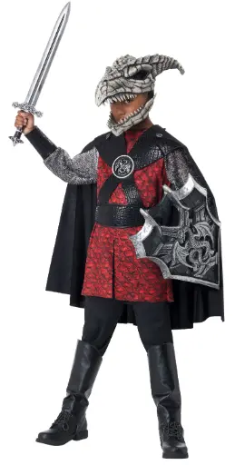 Dragon Rider Boys Costume 
