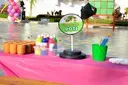 Arts and Crafts/10 Persons-Plant Pots