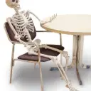 60 Inch Posable Skeleton Rental