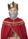 Wise Man Beard & Moustache-Child
