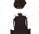 Feather Wings White 80x55 Cms