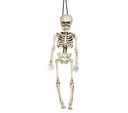 Skeleton 40 Cm