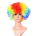 Adult & Kids Clown Wig