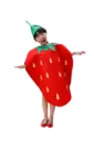 Kids Strawberry Costume