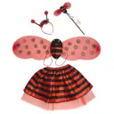 Darling Red Ladybug Fairy Set