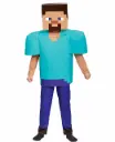 Minecraft Pixelated Kids Costume
