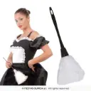 منفضة ريش (إكسسوار)
