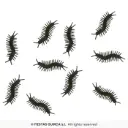 Plastic Centipedes, Bag of 10 (10 cm)