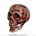 Bloody Skull Decoration, 20 cm (PVC)