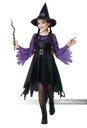 Moon Glow Witch Kids Costume