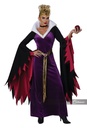 Evil Queen Cosplay Dress Adult Costume