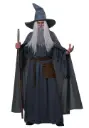 Wandering Wizard Adult Costume