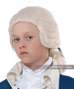 Alexander Hamilton Wig - Kids