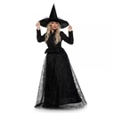 Wicked Witch Spiderweb Gown Adult Costume